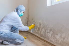 Mold Odor Removal Services